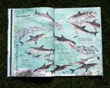 Veľká kniha o morských tvoroch