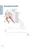 Hokej - anatomie - Váš průvodce tréninkem pro zvýšení výkonu na ledě