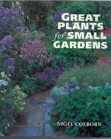 Great plants for small gardens