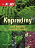 Kapradiny - atlas domácích a exotických druhů